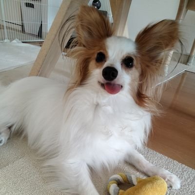 yamaDS202509のプロフィール画像